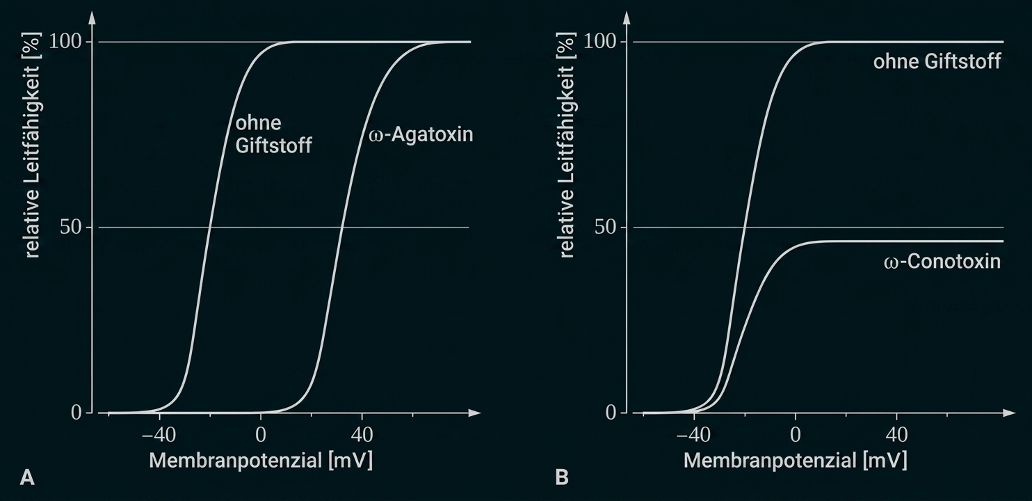 Diagramm mit Membranpotenzial und relativer Leitfähigkeit, mit und ohne Giftstoff.